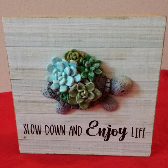 Decorative Wooden Plaque with 3D Turtle - Slow Down And Enjoy Life - Picture 2 of 7